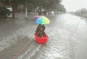 河北,致敬领导与朋友们的尊贵聚会