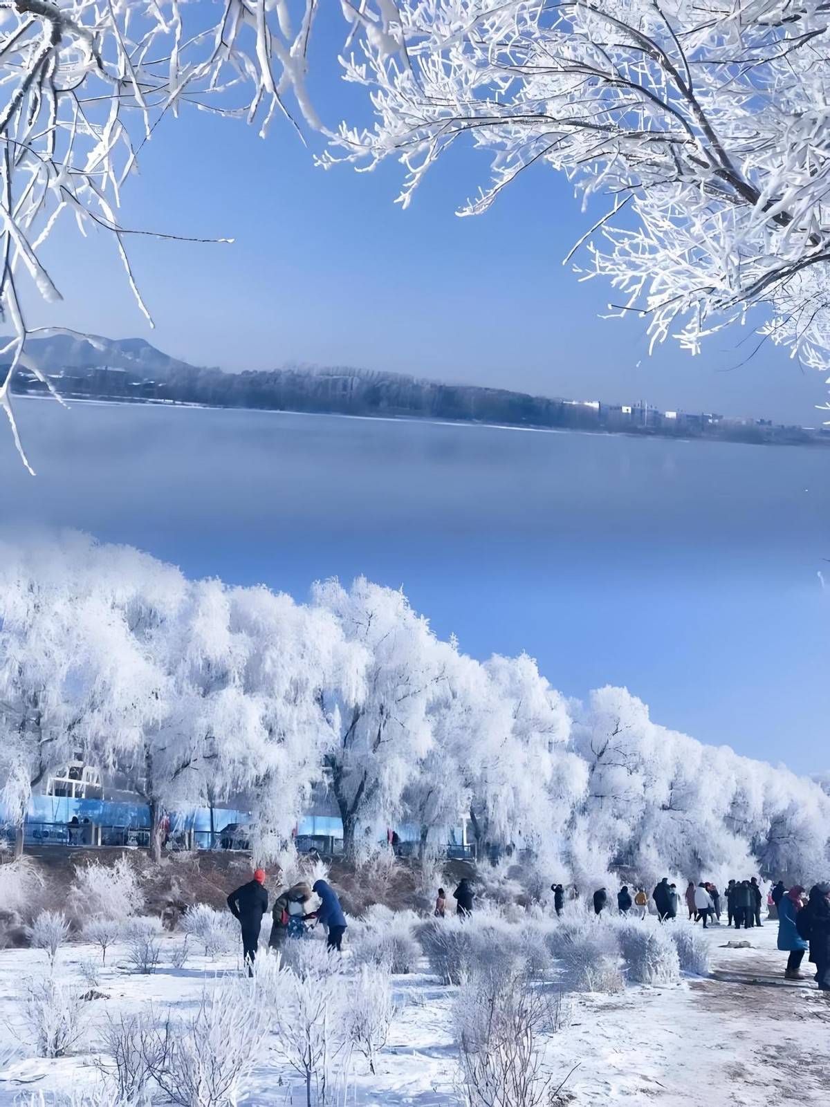 吉林——东北明珠的蜕变与崭新面貌