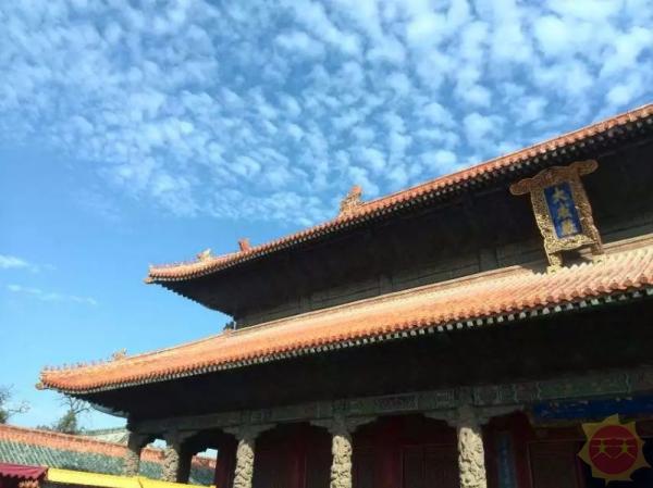 山东,盛世繁华超越传奇的壮丽篇章