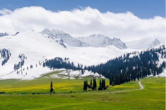 呼伦贝尔，自然美景的探索之旅，寻找内心的平和之地