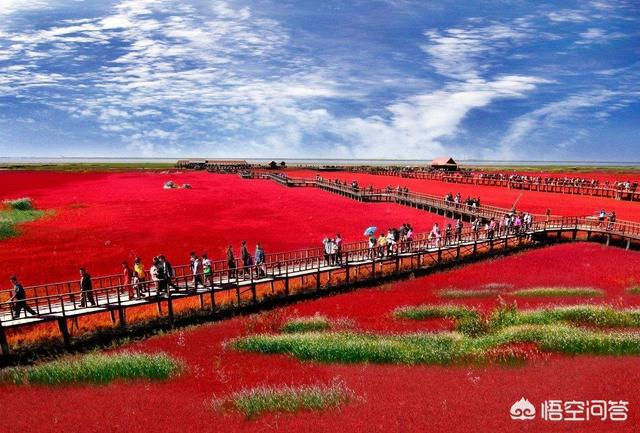 盘锦,活力与潜力并存的繁荣之城