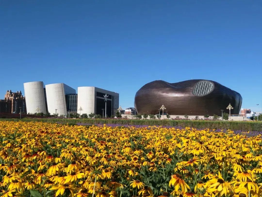 鄂尔多斯之旅,初学者必看的大美鄂尔多斯探索指南