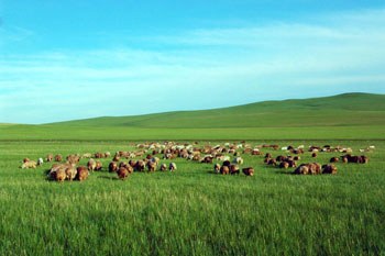 呼伦贝尔,浪漫自然邂逅之旅